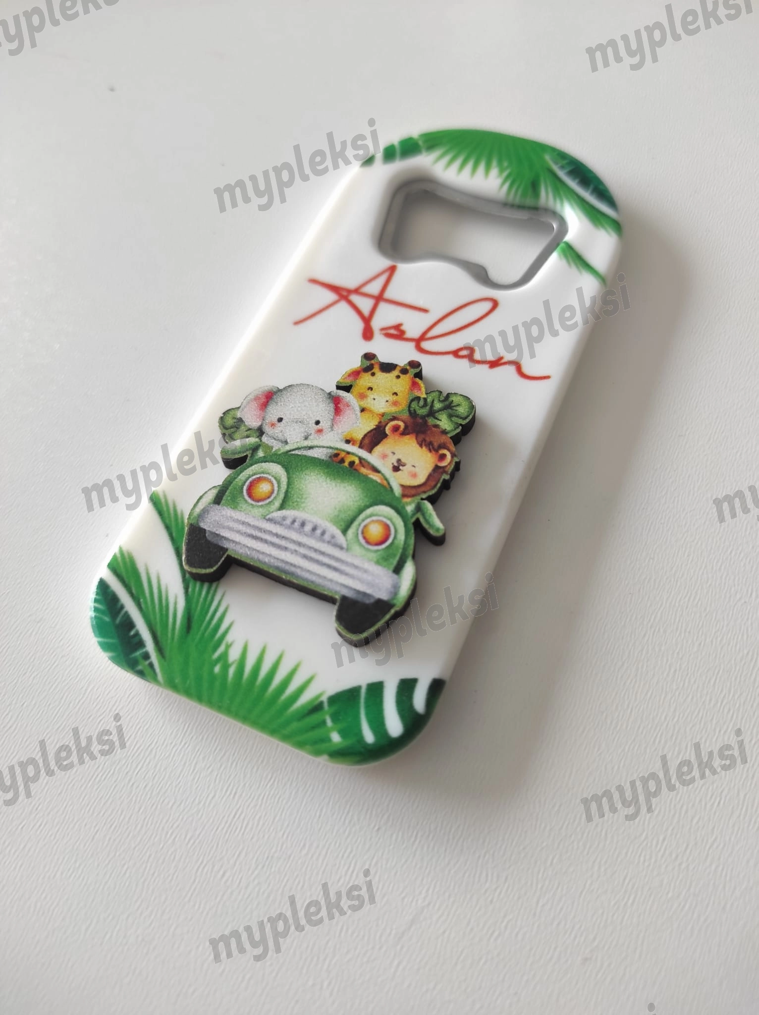 Kabartma Figürlü Safari Magnet Açacak